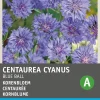 Best Kornblume (Centaurea cyanus 'Blue ball') Blumensamen Blühende Pflanzen|Saatgut