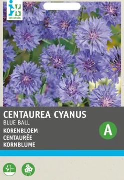 Best Kornblume (Centaurea cyanus 'Blue ball') Blumensamen Blühende Pflanzen|Saatgut