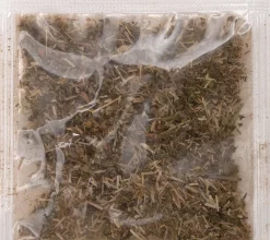 Hot Kratzkarton Welle 53 x 20 x 10 cm Kratzbäume & -Möbel