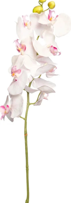 Clearance Kunstblume Orchidee hellrosa H 100 cm Kunstblumen