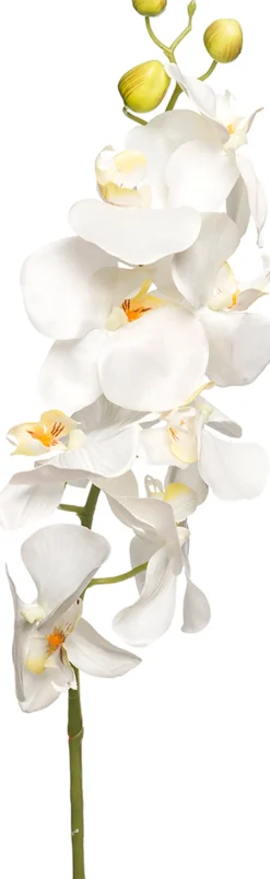 Clearance Kunstblume Orchidee weiß H 100 cm Kunstblumen