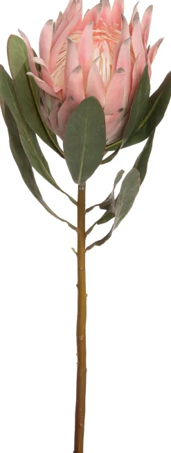 New Kunstblume Protea rosa 63 cm Kunstblumen