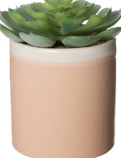 Kunstpflanze Echiverie D 6 cm H 8 cm Kunstpflanzen