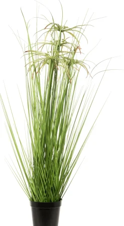 Discount Kunstpflanze Papyrus D 52 cm H 80 cm Kunstpflanzen