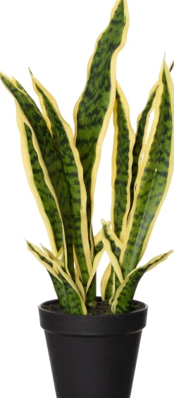 Hot Kunstpflanze Sansevieria gelb-bunt D 13 H 48 cm Kunstpflanzen