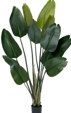 Hot Kunstpflanze Strelitzie grün D 80 H 180 cm Kunstpflanzen