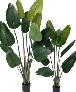 Clearance Kunstpflanze Strelitzie grün D 80 H 140 cm Kunstpflanzen