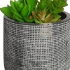 New Kunstpflanze Sukkulente grau D 9,5 cm H 16 cm Kunstpflanzen