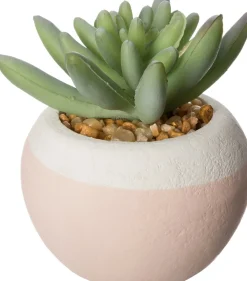 Kunstpflanze Sukkulente D 6 cm H 6 cm Kunstpflanzen