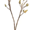 Outlet Kunstzweig Magnolie mit Knospen H 87 cm Künstliche Deko-Zweige