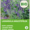 Sale Lavendel (Lavendula angustifolia) (BIO) Blumensamen Saatgut|Blühende Pflanzen