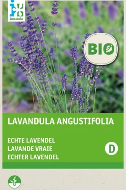 Sale Lavendel (Lavendula angustifolia) (BIO) Blumensamen Saatgut|Blühende Pflanzen