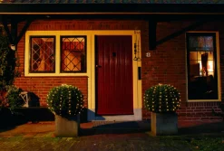 New Lichternetz für Buxus mit 100 LEDs warmweiß D 90 cm Lichternetze