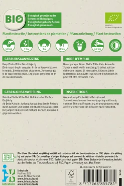 Hot Mairübe (Brassica rapa 'Platte Witte Mei') (BIO) Samen Gemüsesamen|Saatgut