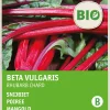 Online Mangold (Beta vulgares 'Rhubard Chard') (BIO) Samen Gemüsesamen|Saatgut