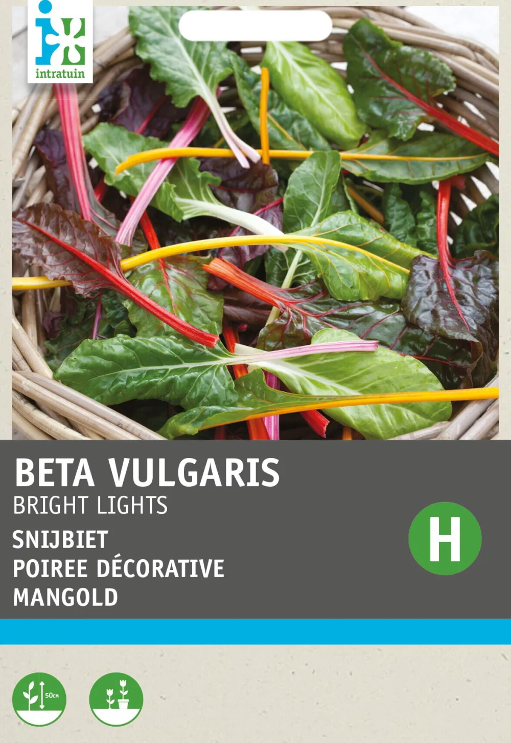 New Mangold (Beta vulgares 'Bright Lights') Samen Gemüsesamen|Saatgut