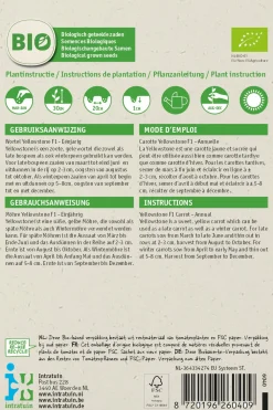 Sale Möhre (Daucus carota 'Yellowstone') (BIO) Samen Gemüsesamen|Saatgut