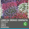 Best Männertreu (Lobelia erinus 'Perlenkette') Blumensamen-Mischung Saatgut|Blühende Pflanzen