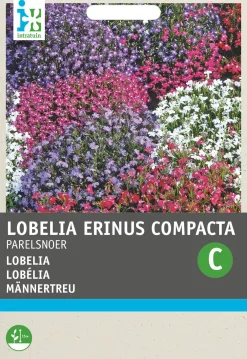 Best Männertreu (Lobelia erinus 'Perlenkette') Blumensamen-Mischung Saatgut|Blühende Pflanzen