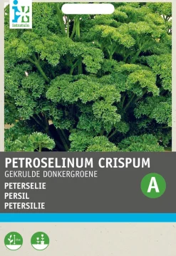 Clearance Petersilie kraus (Petroselinum crispum 'Krause') Samen Kräutersamen|Saatgut