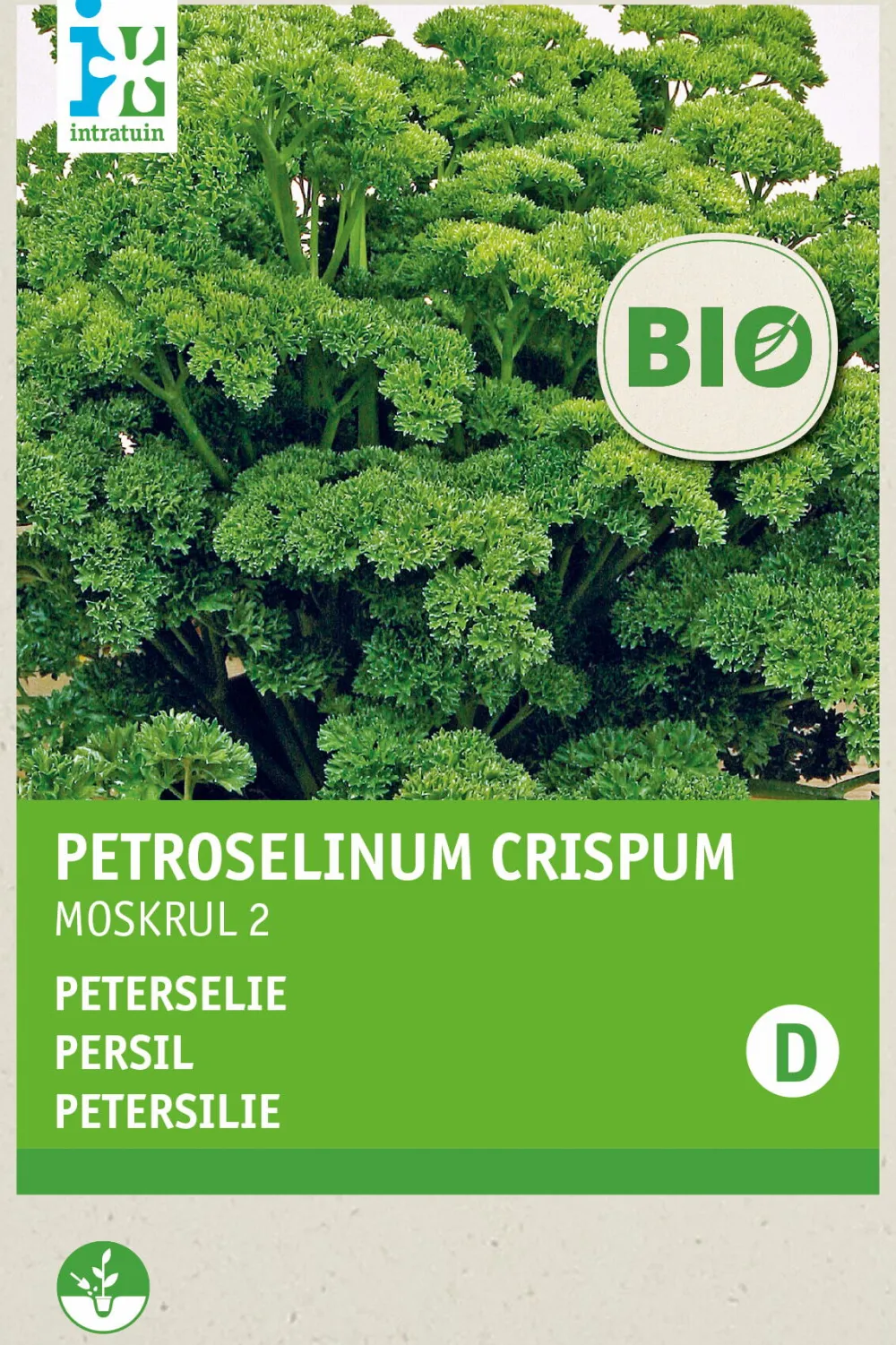 Sale Petersilie kraus (Petroselinum crispum 'Mooskrause 2') (BIO) Samen Kräutersamen|Saatgut