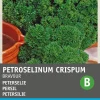 Sale Petersilie (Petroselinum crispum 'Bravour') Samen Kräutersamen|Saatgut