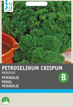 Sale Petersilie (Petroselinum crispum 'Bravour') Samen Kräutersamen|Saatgut