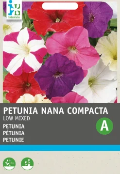 Best Petunie (Petunia Hybrida) Blumensamen-Mischung Saatgut|Blühende Pflanzen
