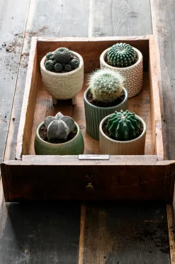 Clearance Pflanzschale mit Fuß Loan creme D 11 H 13 cm Blumentöpfe & Pflanzgefäße|Blumentöpfe