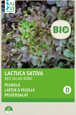 New Pflücksalat (Lactuca sativa 'Roter Eichenblatt') (BIO) Samen Gemüsesamen|Saatgut
