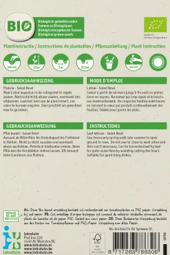 Best Pflücksalat (Lactuca sativa 'Salad Bowl') (BIO) Samen Gemüsesamen|Saatgut