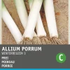 Sale Porree (Allium porrum 'Winterriesen') Samen Gemüsesamen|Saatgut