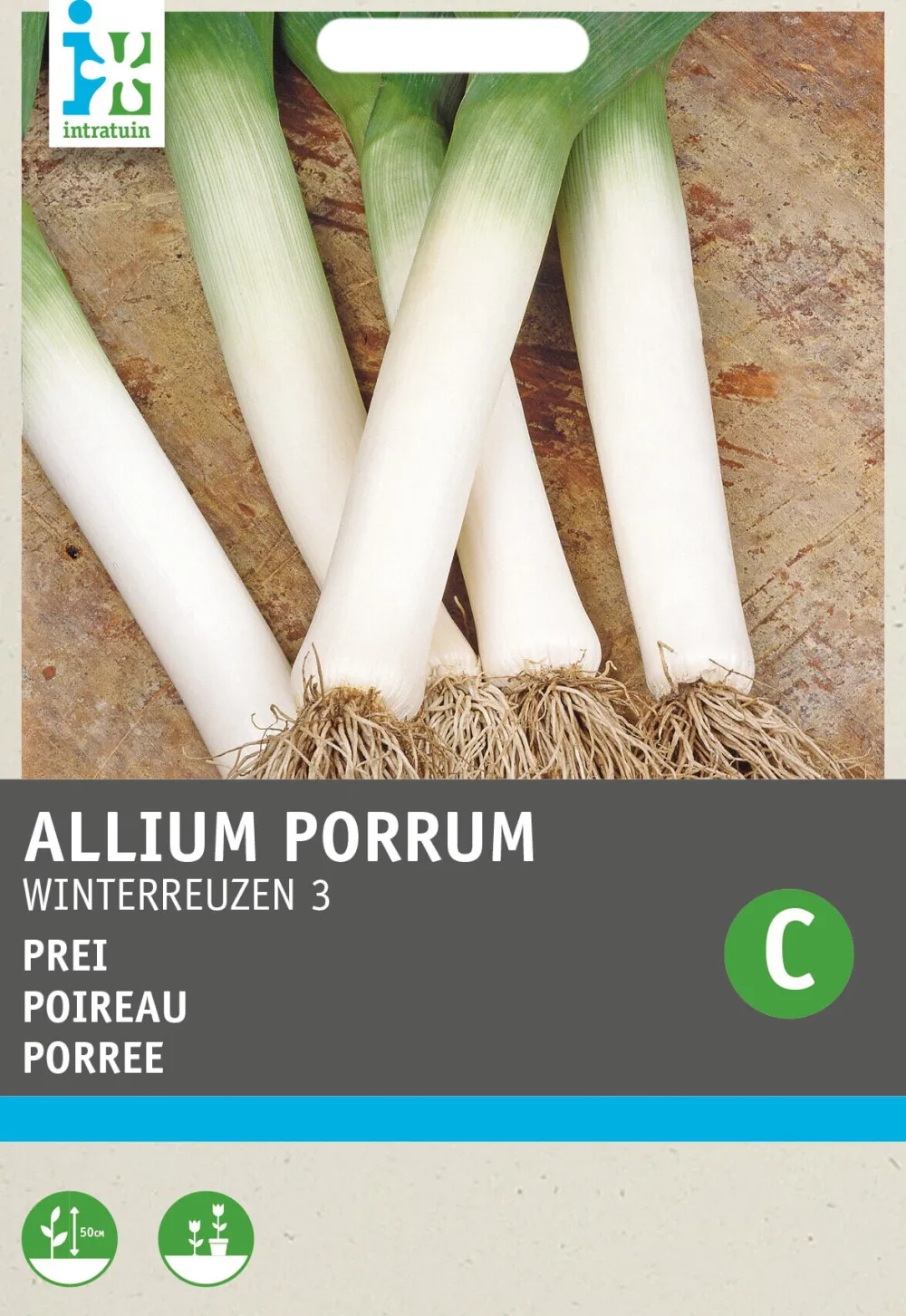 Sale Porree (Allium porrum 'Winterriesen') Samen Gemüsesamen|Saatgut