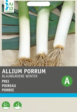 New Porree (Allium porrum 'Blaugrüner Winter') Samen Gemüsesamen|Saatgut