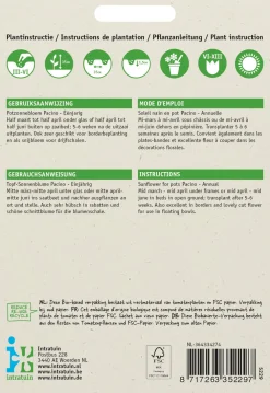 Best Premium Topf-Sonnenblume (Helianthus annuus 'Pacino') Blumensamen Saatgut|Blühende Pflanzen