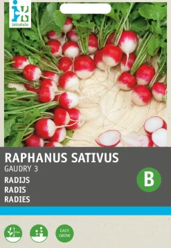 Sale Radieschen (Raphanus sativus 'Gaudry') Samen Gemüsesamen|Saatgut