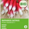 Hot Radieschen (Raphanus sativus 'French Breakfast') (BIO) Samen Gemüsesamen|Saatgut
