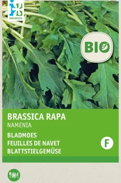Hot Rübstiel (Brassica rapa 'Namenia') (BIO) Samen Gemüsesamen|Saatgut