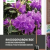 New Rhododendronerde 15 l Pflanzerde & Substrat|Gartenerde