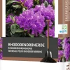 Outlet Rhododendronerde 45 l Pflanzerde & Substrat|Gartenerde
