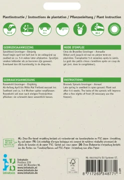 Best Rosenkohl (Brassica oleracea 'Groninger') Samen Gemüsesamen|Saatgut