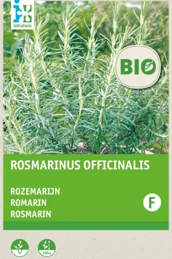 Best Rosmarin (Rosmarinus officinalis) (BIO) Samen Kräutersamen|Saatgut