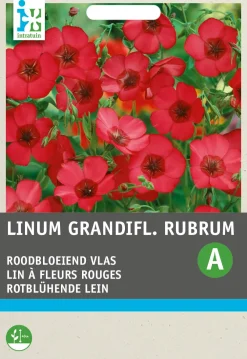 Best Rotblühende Lein (Linum grandiflorum) Blumensamen Saatgut|Blühende Pflanzen
