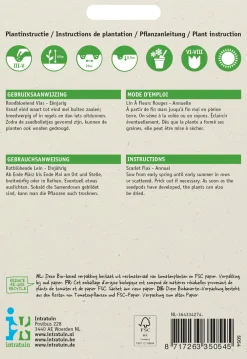 Best Rotblühende Lein (Linum grandiflorum) Blumensamen Saatgut|Blühende Pflanzen