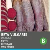 Best Rote Bete lang (Beta vulgaris 'Cylindra') Samen Gemüsesamen|Saatgut
