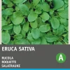 Sale Rucola (Eruca sativa 'Coltivata') Samen Gemüsesamen|Saatgut