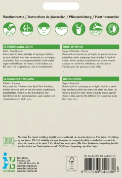 New Salbei (Salvia officinalis) Samen Kräutersamen|Saatgut