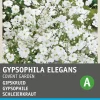 Schleierkraut weiß (Gypsophila elegans 'Covent Garden') Blumensamen Saatgut|Blühende Pflanzen