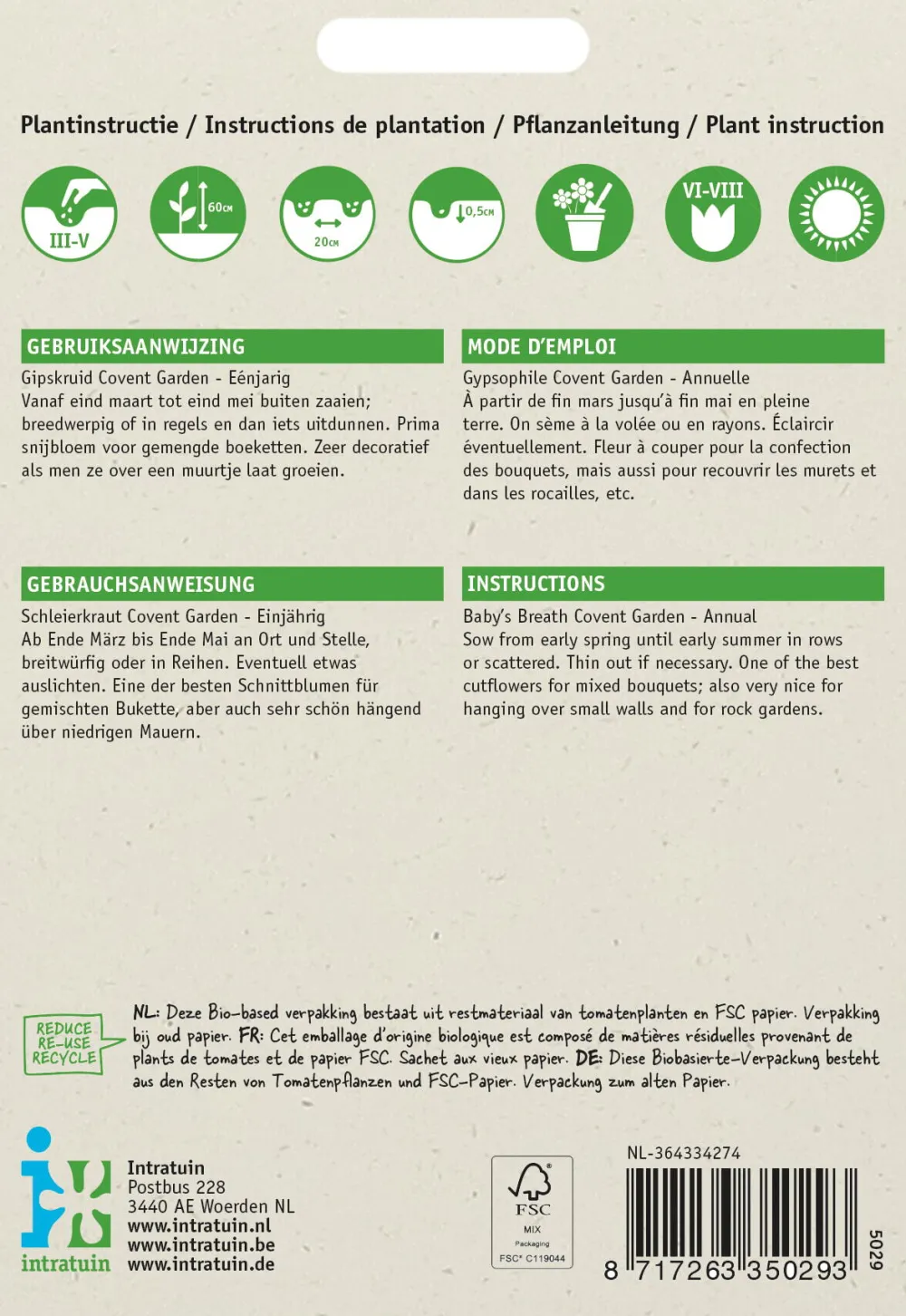 Schleierkraut weiß (Gypsophila elegans 'Covent Garden') Blumensamen Saatgut|Blühende Pflanzen