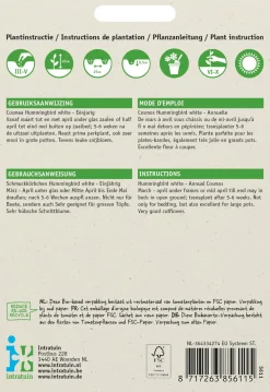 Schmuckkörbchen (Cosmos bippinnatus 'Hummingbird White') Blumensamen Saatgut